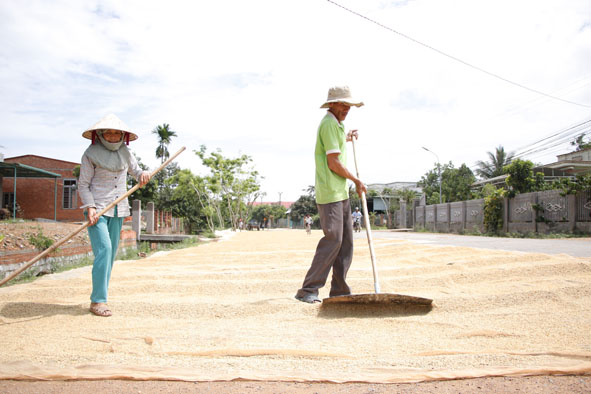 Ông Trần Văn Hiển ở thôn Đoàn Kết 2, xã Buôn Triết đang gặp khó khăn khi đất sản xuất và đất ở  chưa được cấp sổ đỏ.